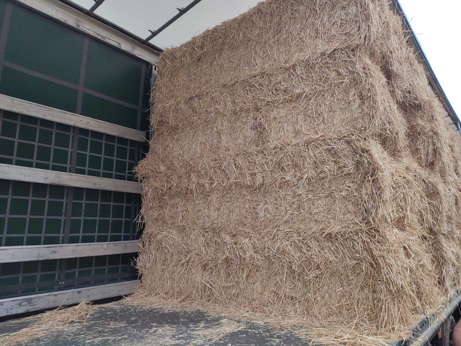 Fardo Palha Trigo