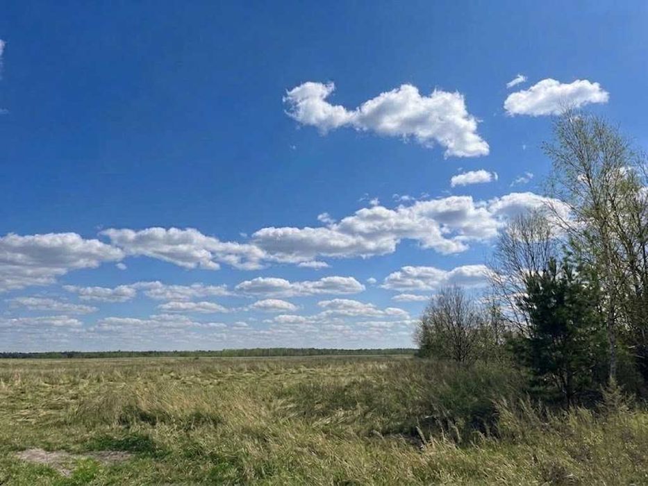 Продаж земельної ділянки 25 соток - ОСГ. Зручний заїзд. Біля лісосмуги. ID:607