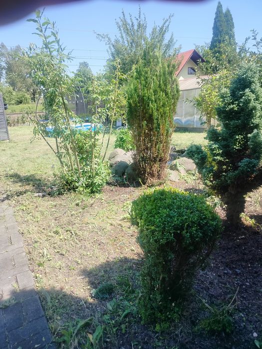 Zdjęcie 7