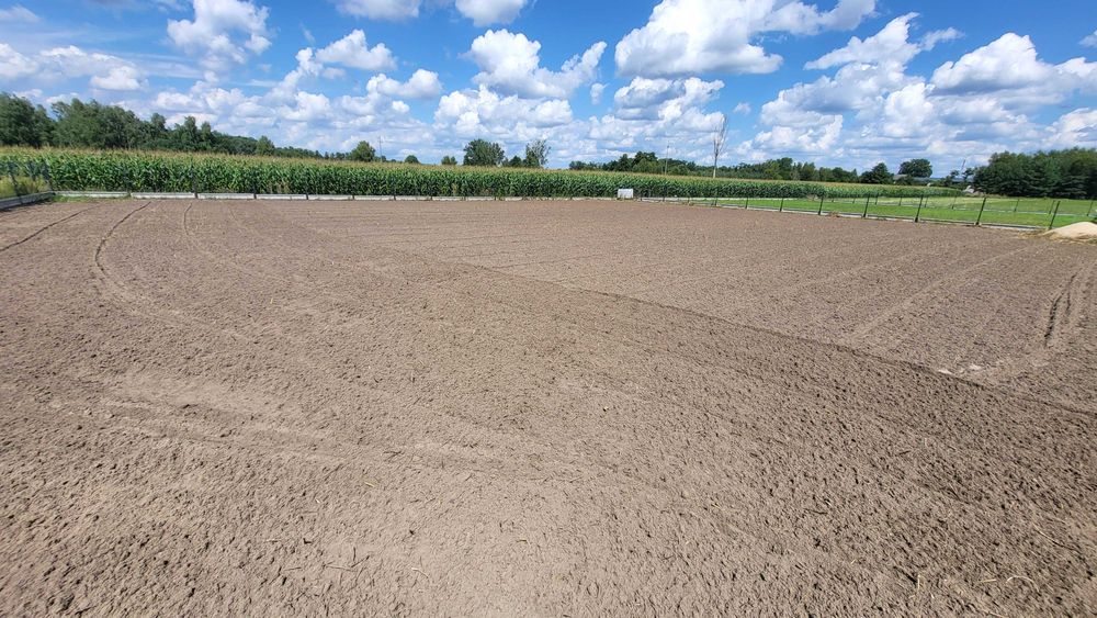 Glebogryzarka Separacyjna Kosiarka Ładowarka Zamiatarka Trawnik