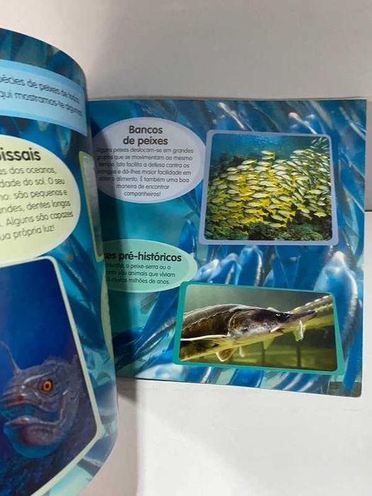 Livro educativo com Poster - Os meus amigos Peixes