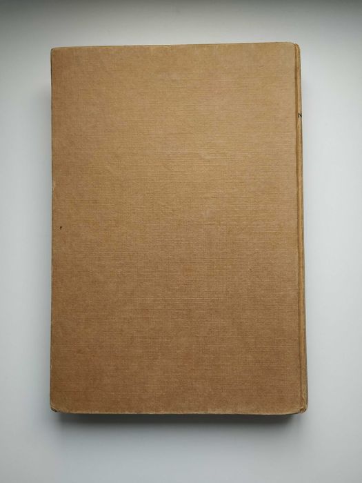 "Amar não é pecado", de Grace Metalious