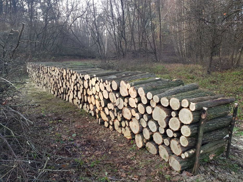 Drewno Opałowe Kominkowe Buk Grab Sezonowany Transport