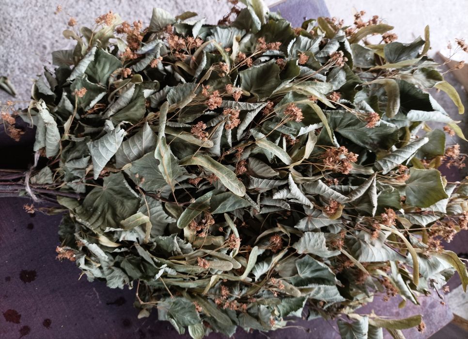 Віники для бані березові і дубові