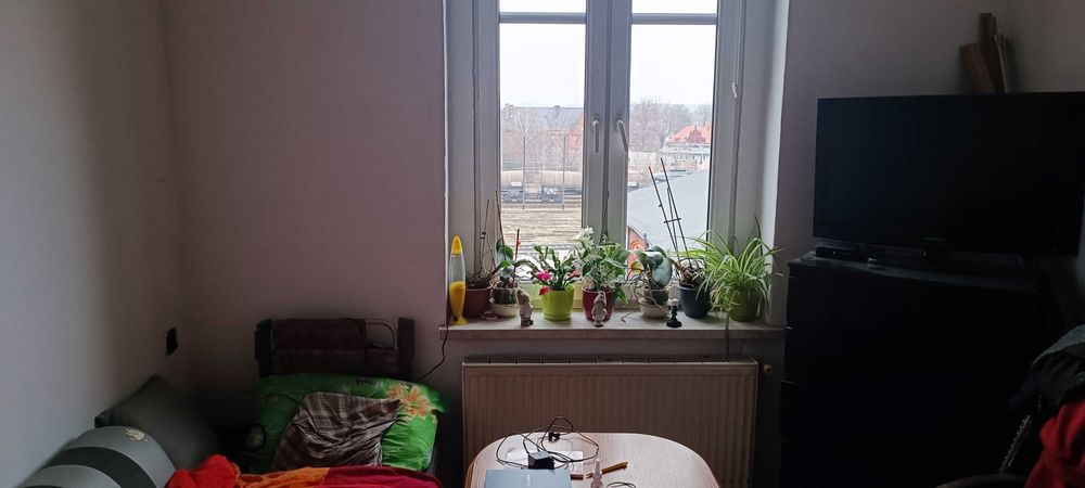 zamienie mieszkanie z mzgk komunalne