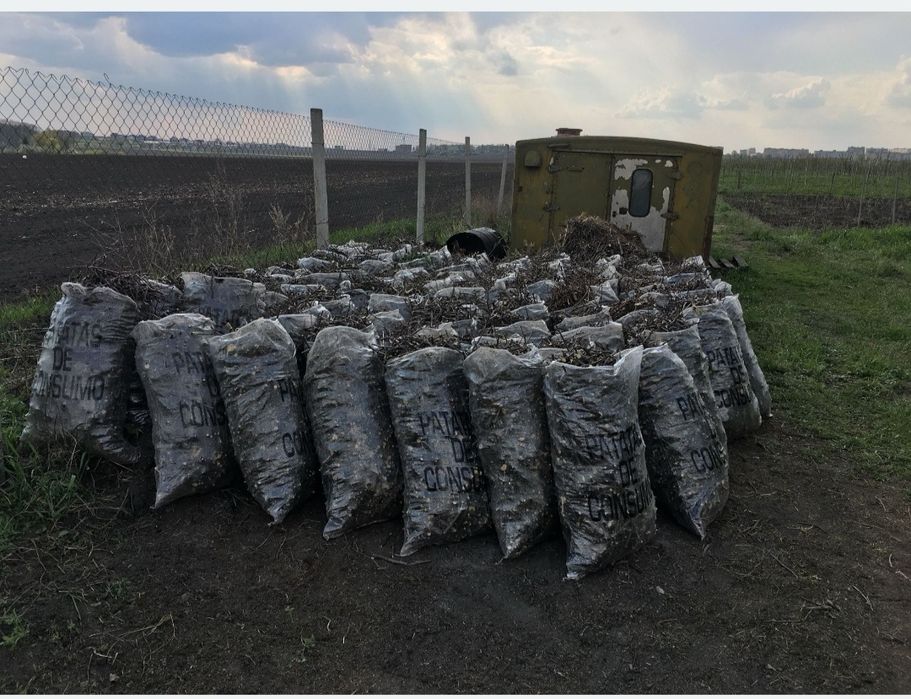 Подрибнення гилок Васельков