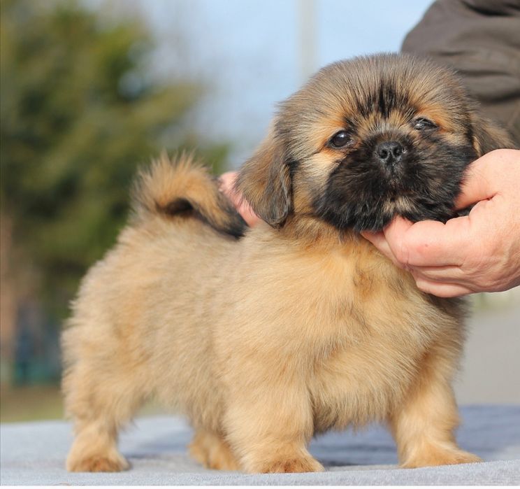 Гарненький, грайливий хлопчик