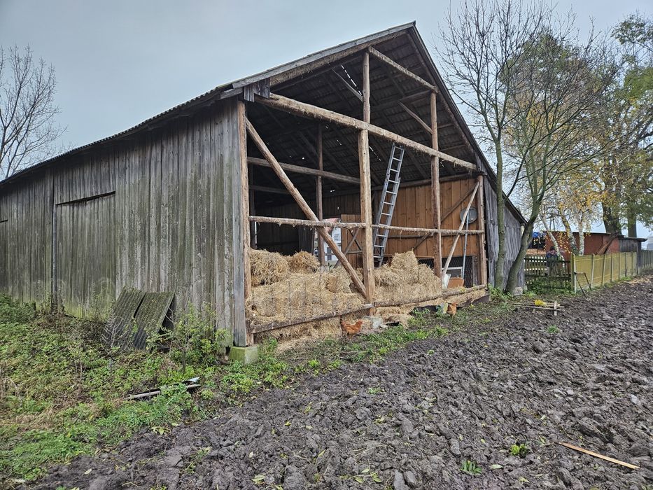 Skup stodół. Skup starych desek. Stare drewno. Rozbiórka stodol.