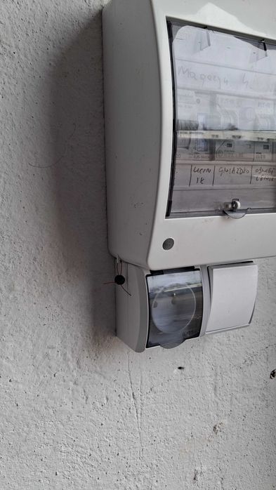 Magazyn/garaż do wynajęcia