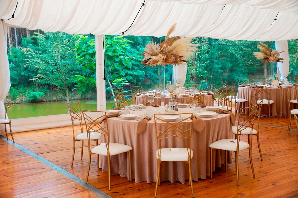 Wynajem krzesel Chameleon Katowice zlote czarne krzesla Slask