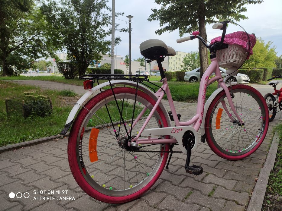 Rower miejski młodzieżowy