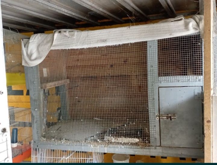 Gaiolas em bom estado