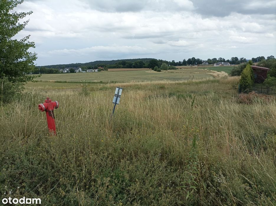 Działka 3160 m2 z pozwoleniem na budowę w Trąbkach Wielkich