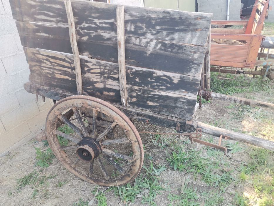 Carroça para burros ou cavalos