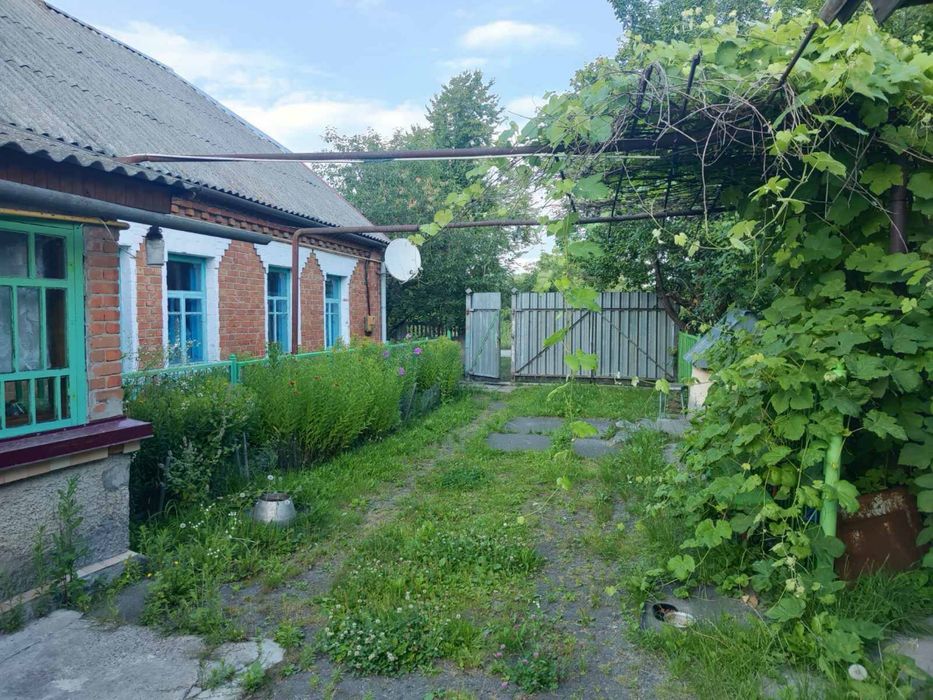 Продам будинок. 80 км від Києва. Село Термахівка