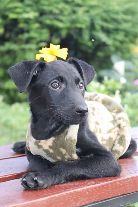 Ася мріє про родину