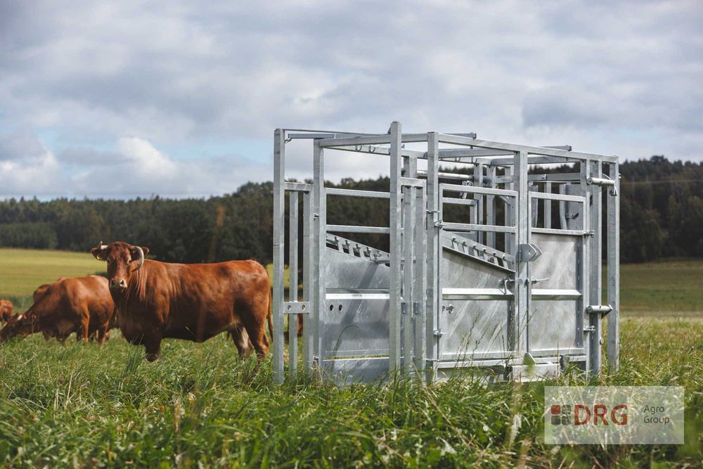 Stanowisko pielęgnacyjne, poskrom dla bydła, TOP polski producent