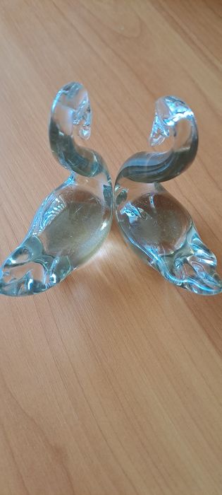 Лебеди в паре!. Он и Она.