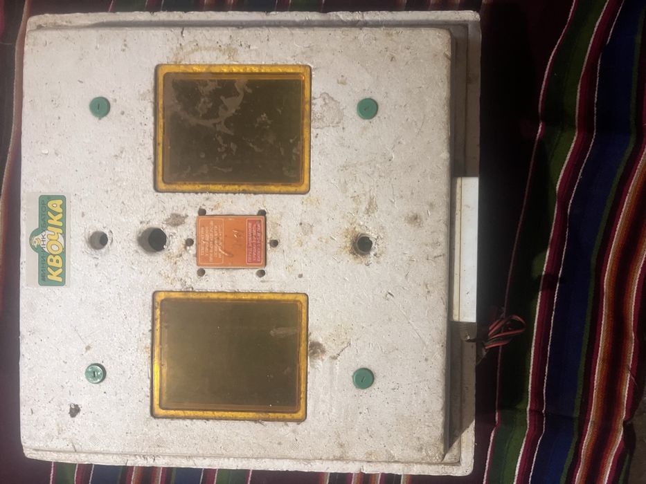 Інкубатор Квочка Мі 30-1е-12v