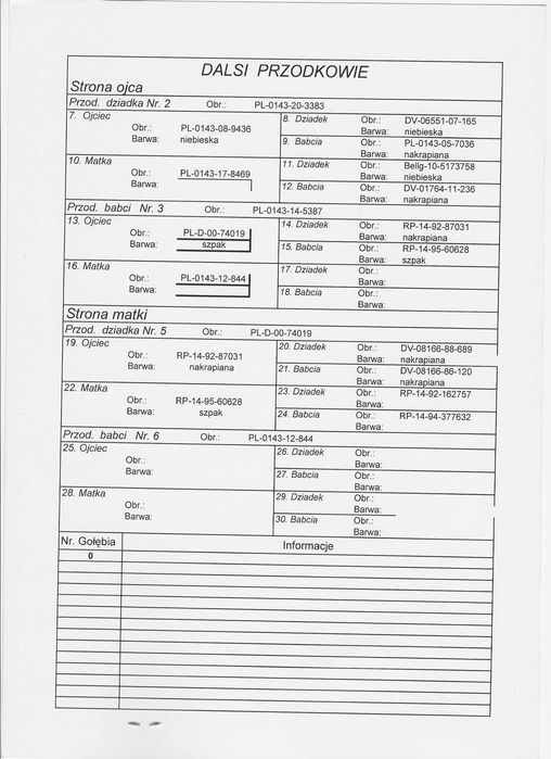 Młode 2026 Para 62 Oryg A.M Wiosn Inbred Szpaka 74019 gołębie pocztowe