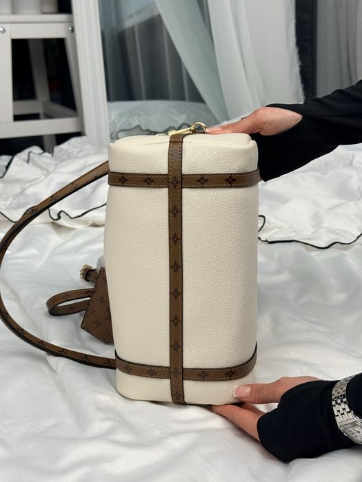 Сумка Louis Vuitton LV Express Bag