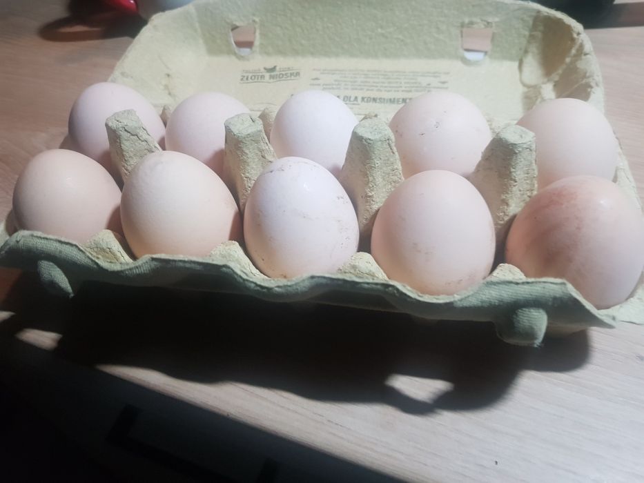 Duże świėże jajka wiejskie