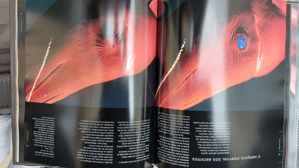 Criaturas do Abismo de Claire Nouvian