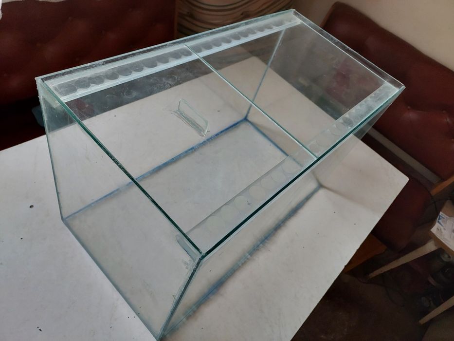 Аквариумистика ,аквариумы