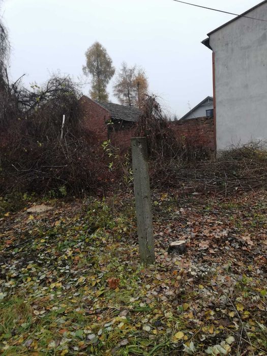 Wycinka drzew, wywóz ścinek