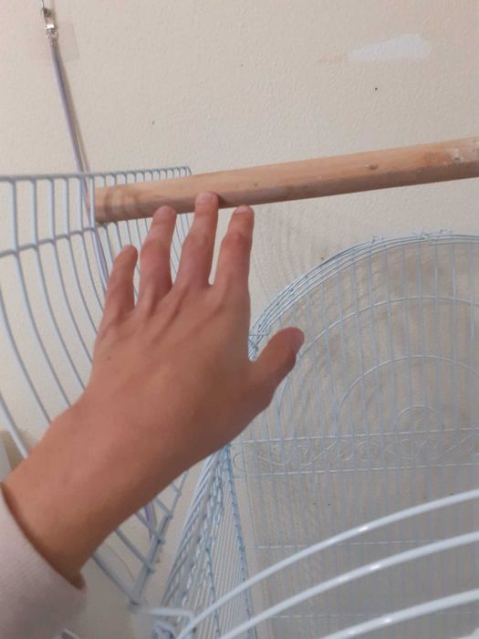 Gaiola de Papagaio Grande Branca Pouco Uso