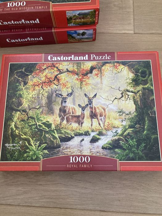 Пазли Castorland Касторленд 1000 дет