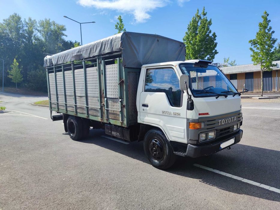 Carrinha DYNA 250 (transporte de animais)