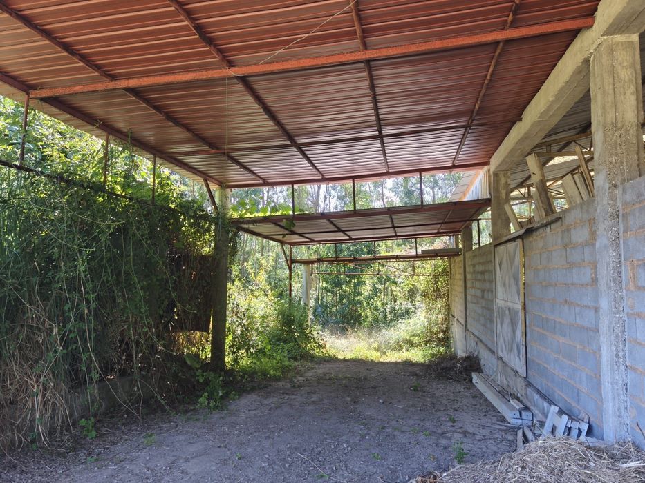 Vendo terreno c/pavilhao