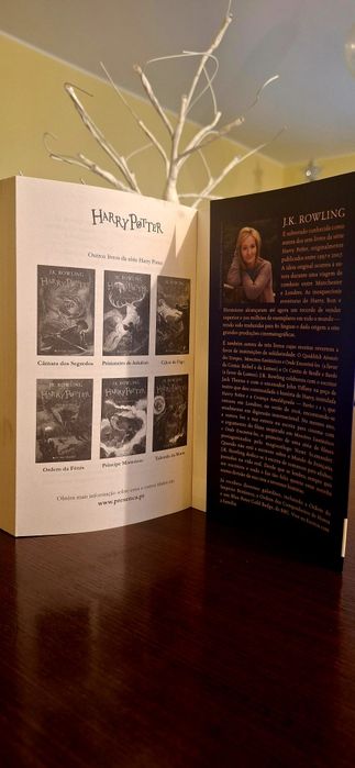 Livro do 'Harry Potter e a Pedra Filosofal 'Estado Impecável.