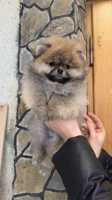 Мальчик руденький