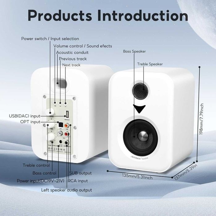 Динаміки для дому з Bluetooth AIYIMA S400 (чорні та білі)