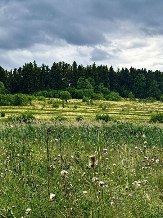 Земельна ділянка 0.19га в с. Оболоння
