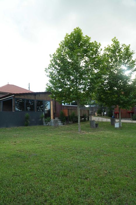 Quintinha de Sá_ Alojamento