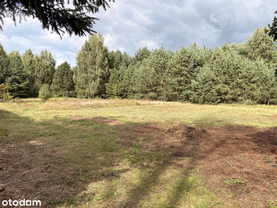 Piękna działka w super lokalizacji Długosiodło | Spokojna okolica - Widok 2