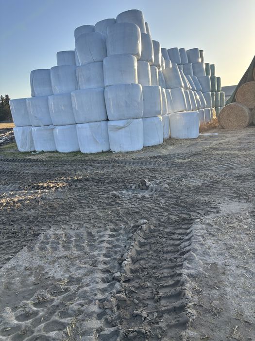 Sprzedam Sianokisznke