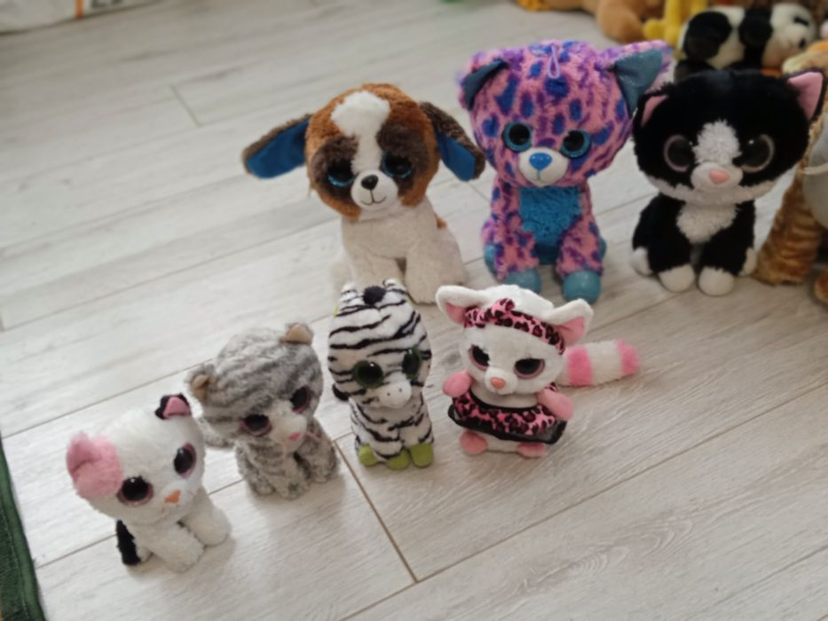 Колекція глазастики м'які,