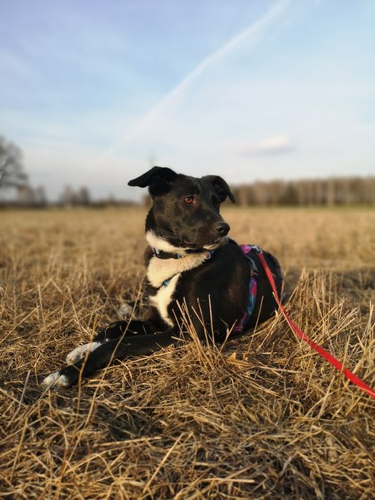 Delikatna i radosna Zosieńka