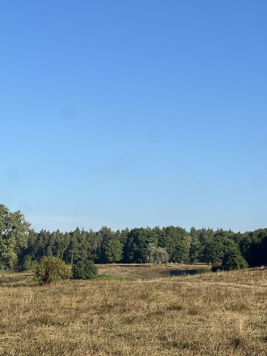Земля на березі Бугу, дуже гарна локація! 8 сотих ВЛАСНИК