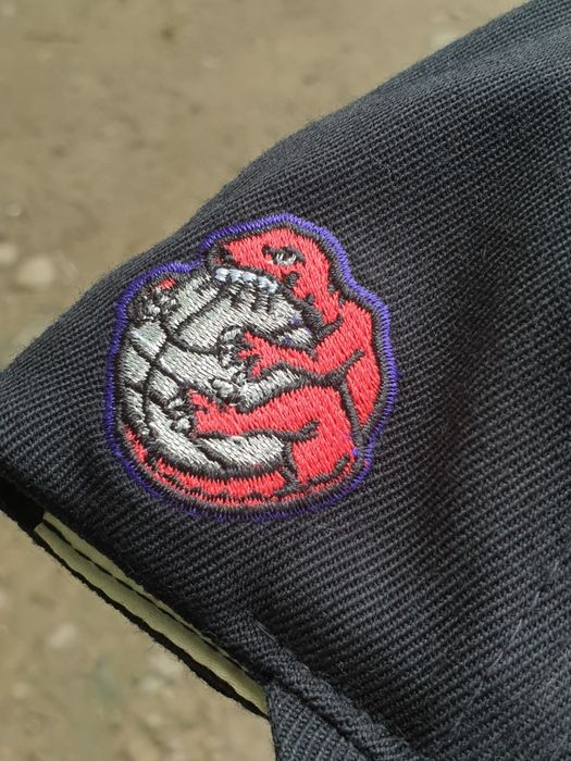 Кепка бейсболка Nike Toronto Raptors NBA