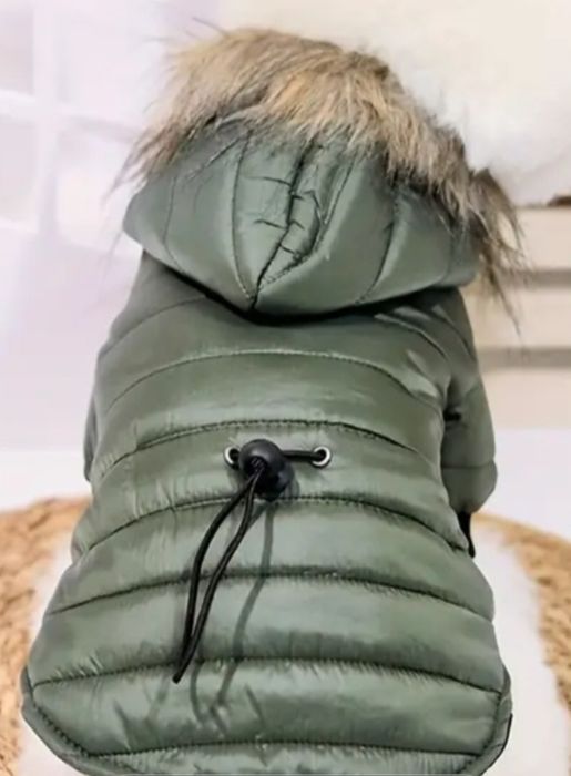 Одяг для домашніх улюбленців.