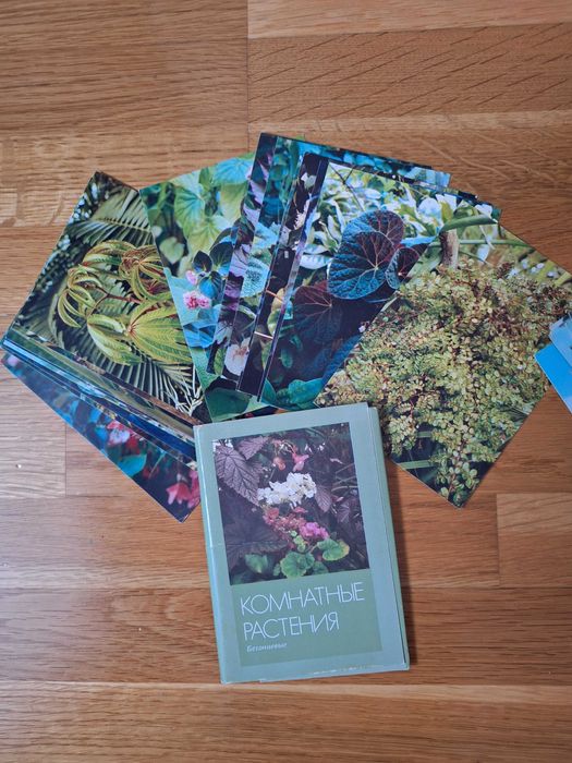 Набір листівок, листівки