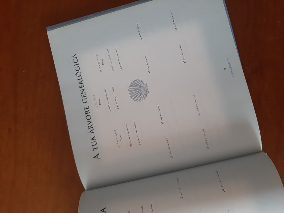 Livro "Recordações de Mãe para o meu Filho "