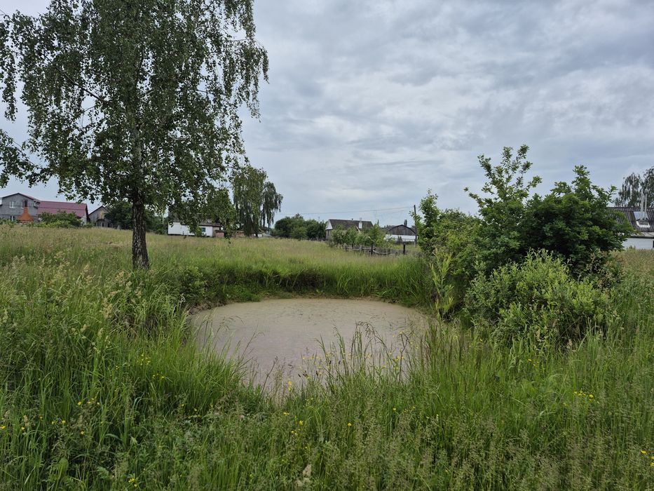 Продам будинок 52 кв.( 47 соток землі)