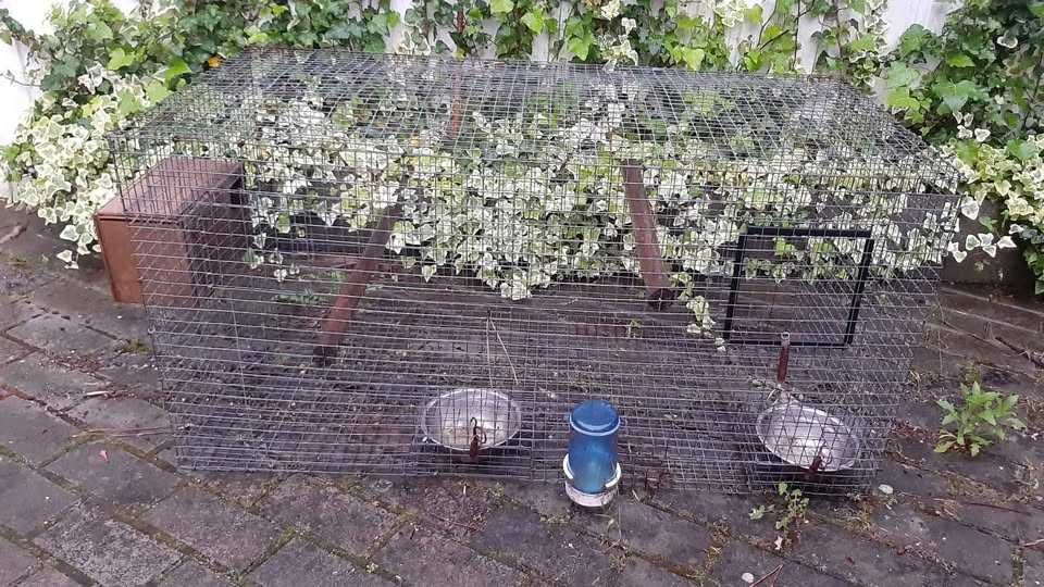 Gaiola para pássaros