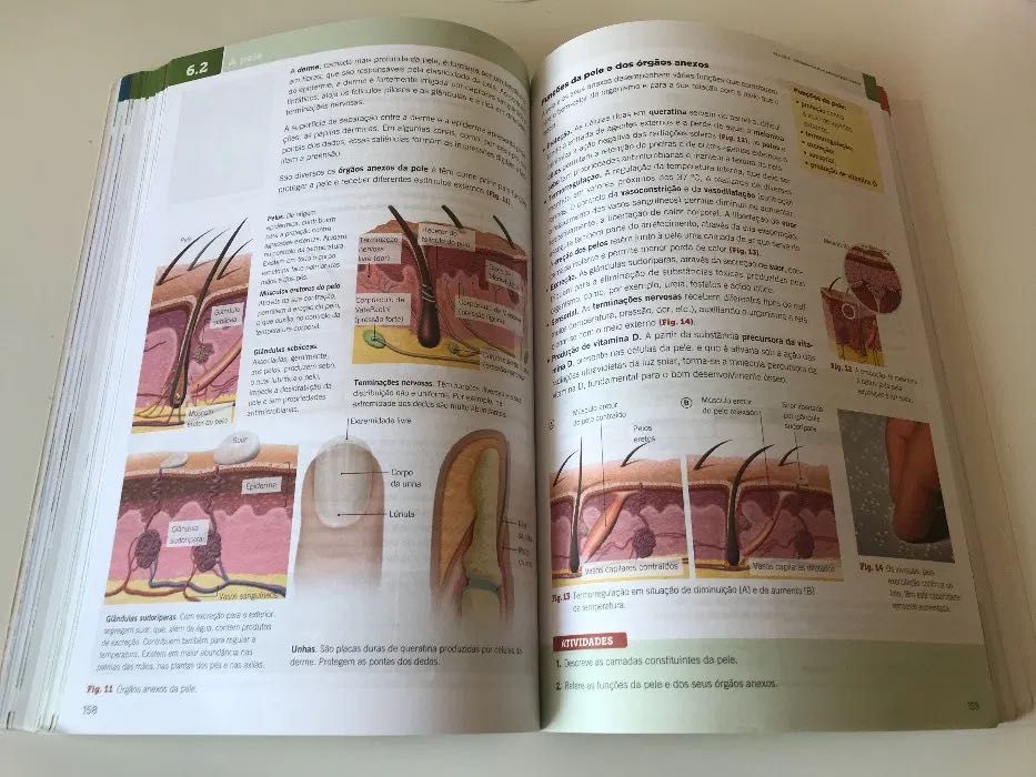 Ciências Naturais - 9º (incl. Caderno Atividades)64861593630211122